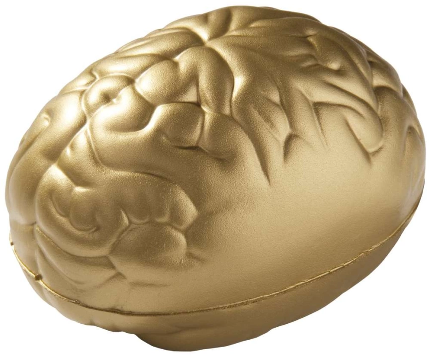 Антистресс «Золотой мозг» фото 1