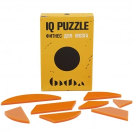 Головоломка IQ Puzzle Figures, круг