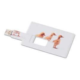 Creditcard. USB flash      4GB MO1059-06